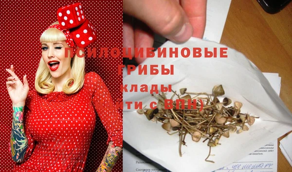 СК Алзамай