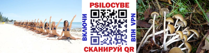 MEGA ССЫЛКА Краснообск Псилоцибиновые грибы Psilocybine cubensis