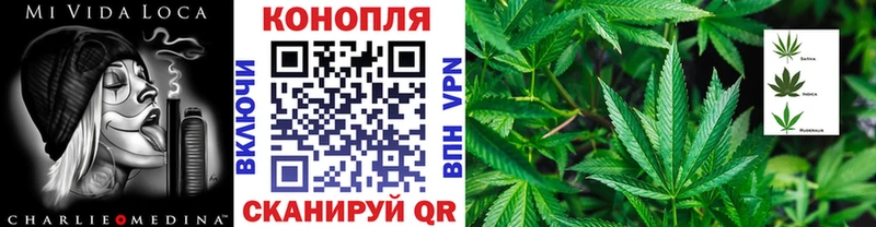 Бошки Шишки ГИДРОПОН Краснообск